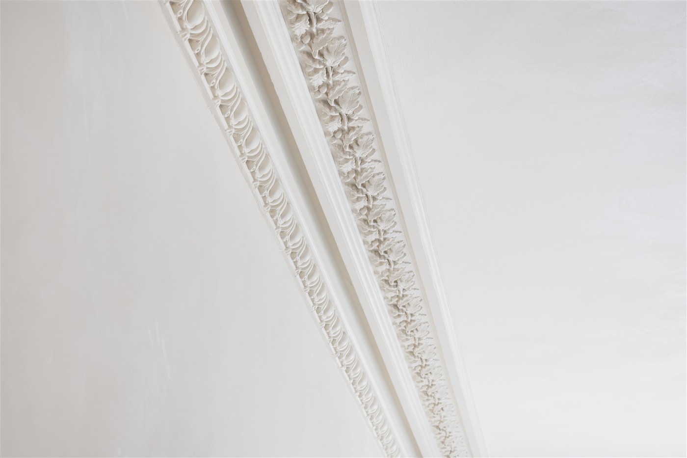Plaster cornice detail